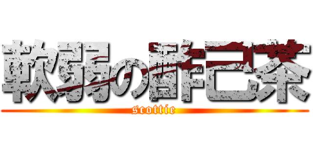 軟弱の酢己茶 (scottie)