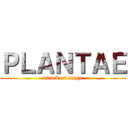 ＰＬＡＮＴＡＥ (attack on zergx)