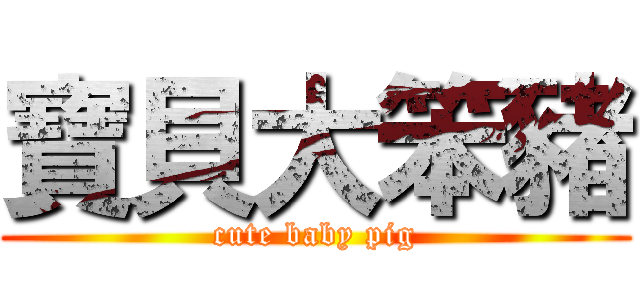 寶貝大笨豬 (cute baby pig)