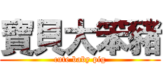 寶貝大笨豬 (cute baby pig)