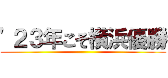 '２３年こそ横浜優勝 ()