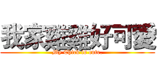 我家雞雞好可愛 (My Chick is cute.)