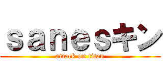 ｓａｎｅｓキン (attack on titan)