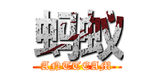 蚂蚁 (ANTTEAM)