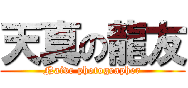 天真の龍友 (Naive photographer)
