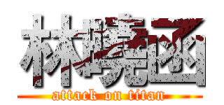 林曉函 (attack on titan)