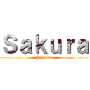 Ｓａｋｕｒａ (Hiroko)