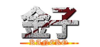 金子 (KANEKO)