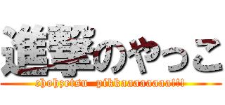 進撃のやっこ (chohzetsu  pikkaaaaaaaa!!!)