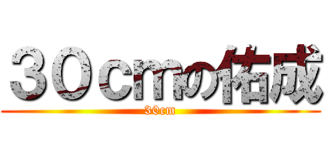 ３０ｃｍの佑成 (30cm)