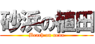 砂浜の植田 (Beach on ueda)