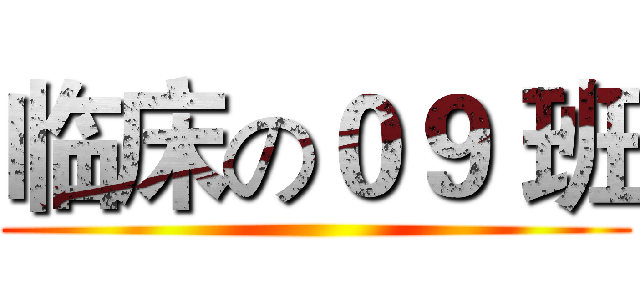 临床の０９ 班 ()