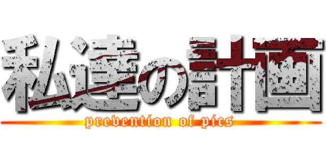 私達の計画 (prevention of pics)