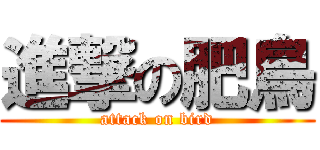 進撃の肥鳥 (attack on bird)