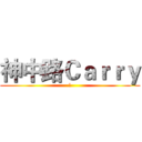 神中路Ｃａｒｒｙ (神)