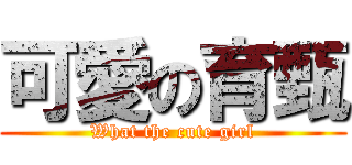 可愛の育甄 (What the cute girl)