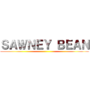 ＳＡＷＮＥＹ ＢＥＡＮ ()