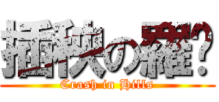插秧の羅喵 (Crash in Hills)