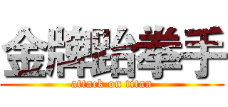 金牌跆拳手 (attack on titan)