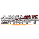 金牌跆拳手 (attack on titan)