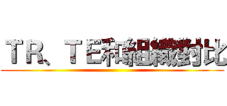ＴＲ、ＴＥ和組織對比 ()