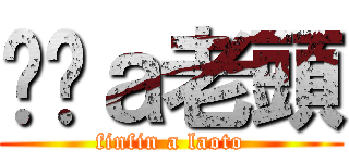 ㄈㄈａ老頭 (finfin a laoto)