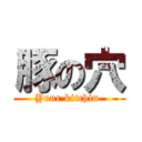 豚の穴 (Your kitchin )