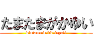たまたまがかゆい (kintama dokkoisyo!!)