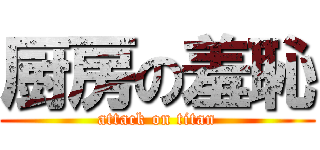 厨房の羞恥 (attack on titan)