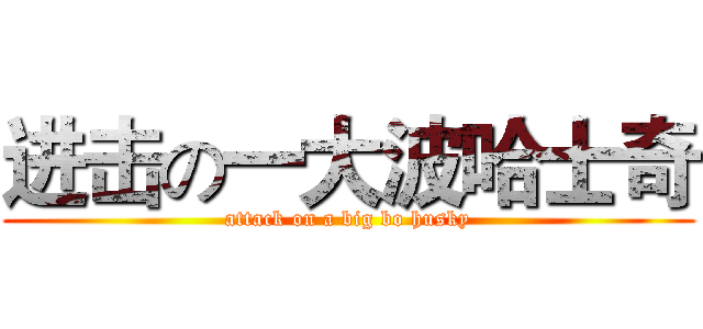 进击の一大波哈士奇 (attack on a big bo husky)