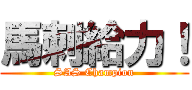 馬刺給力！ (SAS Champion)