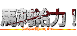 馬刺給力！ (SAS Champion)