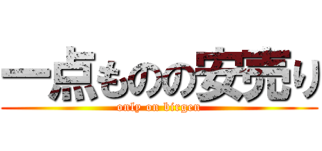 一点ものの安売り (only on birgen)