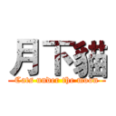 月下貓 (Cats under the moon)