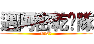 邁阿密乾爹隊 (V587)