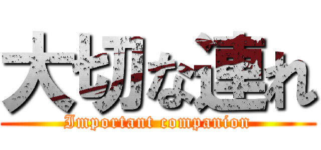 大切な連れ (Important companion)