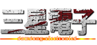 三星電子 (samsung electronics)