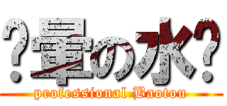 兲暈の水產 (professional Baotou)