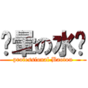 兲暈の水產 (professional Baotou)