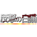 反撃の白猫 ()