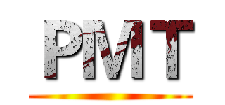 ＰＭＴ ()