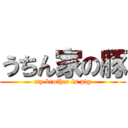 うちん家の豚 (my brother is pig)
