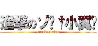 進撃のゾ傻†小翼⋆ (attack on titan)