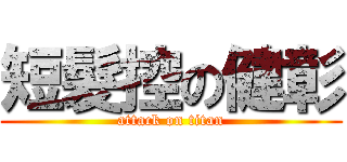 短髮控の健彰 (attack on titan)