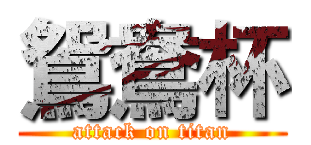 鴛鴦杯 (attack on titan)