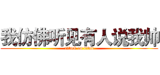我仿佛听见有人说我帅 (attack on titan)