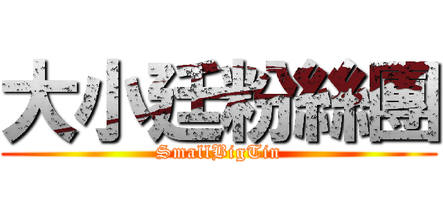 大小廷粉絲團 (SmallBigTin)
