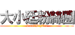 大小廷粉絲團 (SmallBigTin)