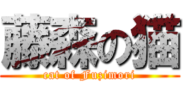 藤森の猫 (cat of Fuzimori)