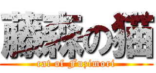 藤森の猫 (cat of Fuzimori)